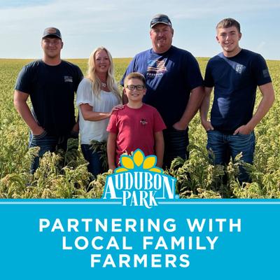 Show full view: Audubon Park Nyjer Seed Wild Bird Food, 10-lb bag slide 9 of 10