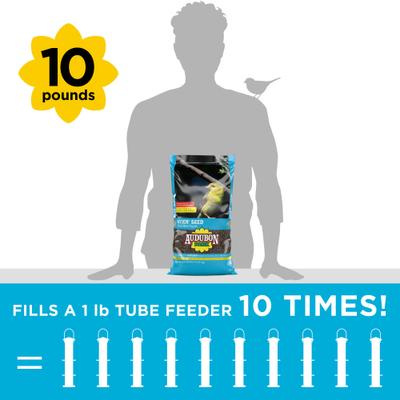 Show full view: Audubon Park Nyjer Seed Wild Bird Food, 10-lb bag slide 5 of 10