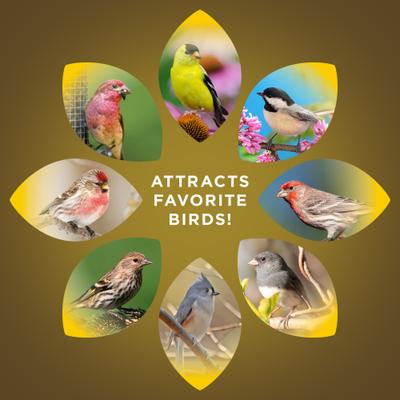 Show full view: Audubon Park Nyjer Seed Wild Bird Food, 15-lb bag slide 6 of 10