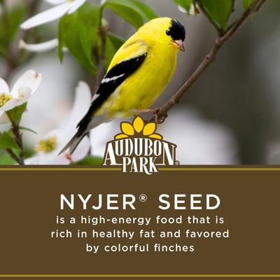 Show full view: Audubon Park Nyjer Seed Wild Bird Food, 15-lb bag slide 4 of 10