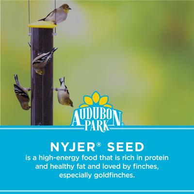 Show full view: Audubon Park Nyjer Seed Wild Bird Food, 4.75-lb bag slide 4 of 10