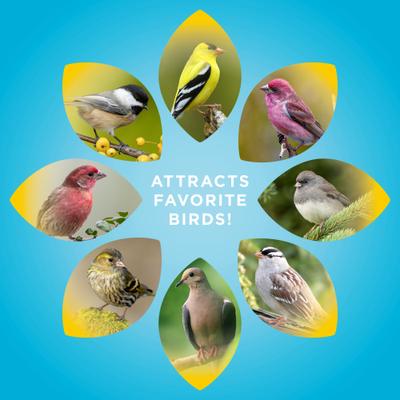 Show full view: Audubon Park Nyjer Seed Wild Bird Food, 4.75-lb bag slide 6 of 10