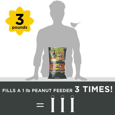 Show full view: Audubon Park Peanuts Wild Bird Food, 3-lb bag slide 5 of 9