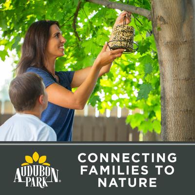 Show full view: Audubon Park Peanuts Wild Bird Food, 3-lb bag slide 8 of 9