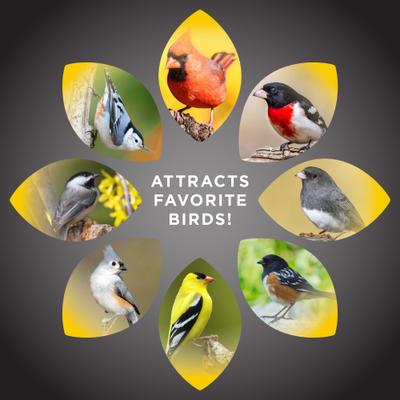 Show full view: Audubon Park Premium Seed Blends Wild Bird Food, 10-lb bag slide 6 of 9