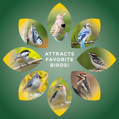 Show full view: Audubon Park Premium Trail Mix Seed Blends Wild Bird Food, 4.75-lb bag slide 6 of 9