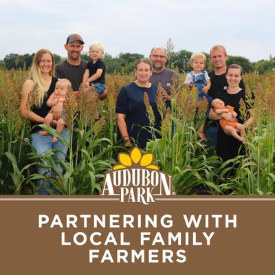 Show full view: Audubon Park Raw Peanuts Seed Wild Bird Food, 3-lb bag slide 9 of 9