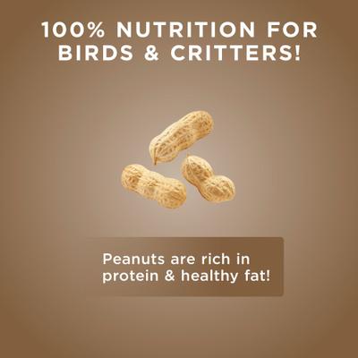 Show full view: Audubon Park Raw Peanuts Seed Wild Bird Food, 3-lb bag slide 7 of 9