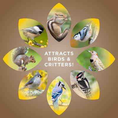 Show full view: Audubon Park Raw Peanuts Seed Wild Bird Food, 3-lb bag slide 6 of 9