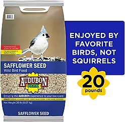 Audubon Park Safflower Seed Wild Bird Food, 20-lb bag