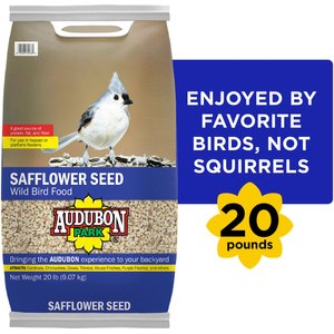 Audubon Park Safflower Seed Wild Bird Food, 20-lb bag
