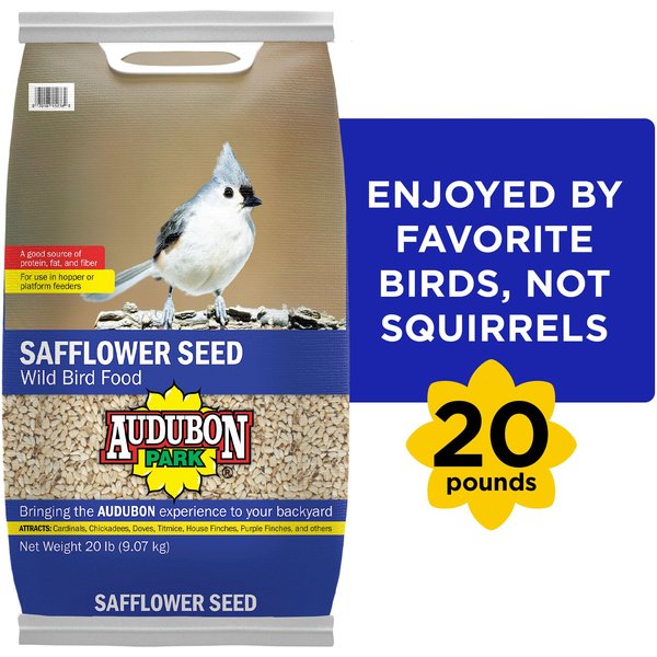 Audubon Park Safflower Seed Wild Bird Food