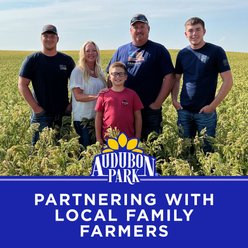 Audubon Park Safflower Seed Wild Bird Food, 20-lb bag slide 2 of 9