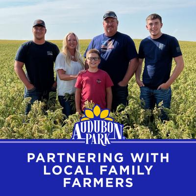 Show full view: Audubon Park Safflower Seed Wild Bird Food, 20-lb bag slide 9 of 9