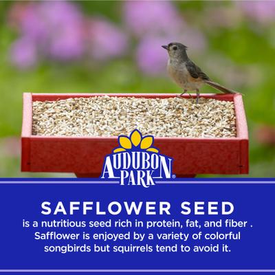 Show full view: Audubon Park Safflower Seed Wild Bird Food, 20-lb bag slide 4 of 9