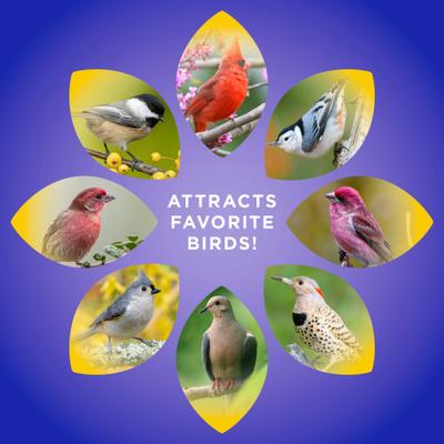 Show full view: Audubon Park Safflower Seed Wild Bird Food, 20-lb bag slide 6 of 9