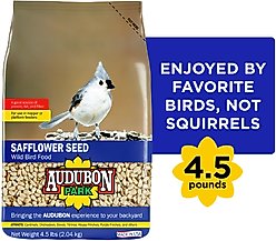 Audubon Park Safflower Seed Wild Bird Food, 4.5-lb bag