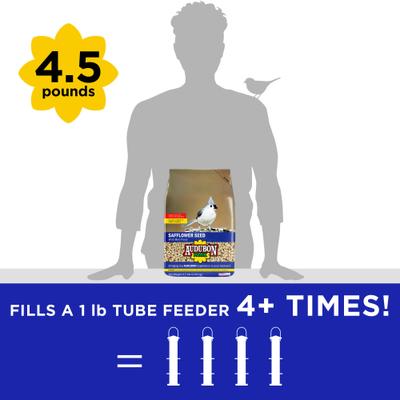 Show full view: Audubon Park Safflower Seed Wild Bird Food, 4.5-lb bag slide 5 of 9
