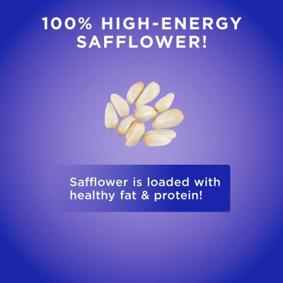 Show full view: Audubon Park Safflower Seed Wild Bird Food, 4.5-lb bag slide 7 of 9