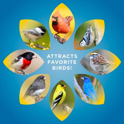 Show full view: Audubon Park Songbird Seed Blend Wild Bird Food, 4.5-lb bag slide 5 of 7