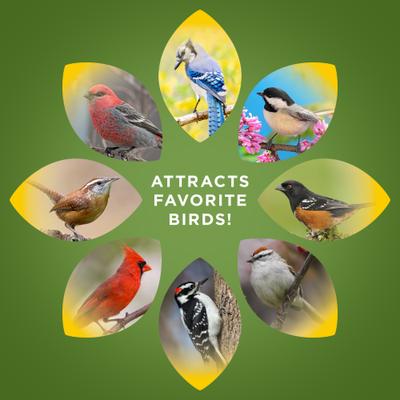 Show full view: Audubon Park Songbird Supreme Wild Bird Food, 15-lb bag slide 6 of 10