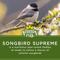 Show in main carousel: Audubon Park Songbird Supreme Wild Bird Food, 15-lb bag slide 4 of 10