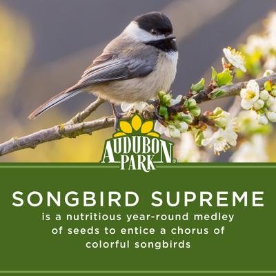 Show full view: Audubon Park Songbird Supreme Wild Bird Food, 15-lb bag slide 4 of 10