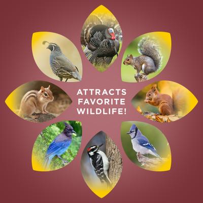 Show full view: Audubon Park Squirrel & Critter Wild Bird Food, 15-lb bag slide 6 of 11