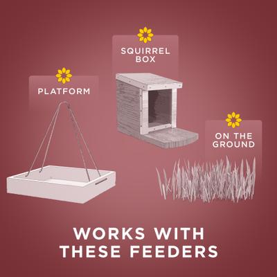 Show full view: Audubon Park Squirrel & Critter Wild Bird Food, 15-lb bag slide 7 of 11