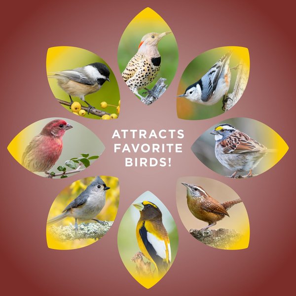 Show full view: Audubon Park Sunflower Hearts & Chips Wild Bird Food, 20-lb bag slide 6 of 8