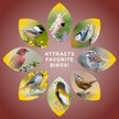 Show in main carousel: Audubon Park Sunflower Hearts & Chips Wild Bird Food, 20-lb bag slide 6 of 8