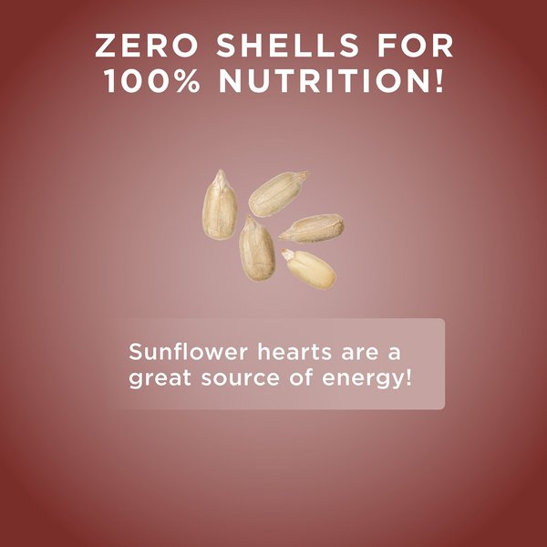Show full view: Audubon Park Sunflower Hearts & Chips Wild Bird Food, 20-lb bag slide 7 of 8