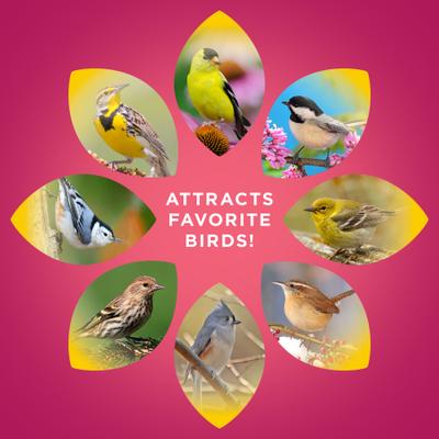 Show full view: Audubon Park Sunflower Hearts Wild Bird Food, 15-lb bag slide 6 of 11