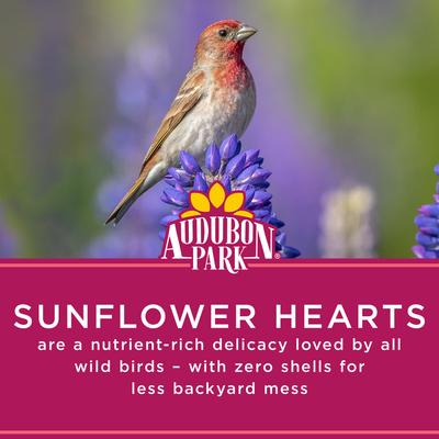 Show full view: Audubon Park Sunflower Hearts Wild Bird Food, 15-lb bag slide 4 of 11