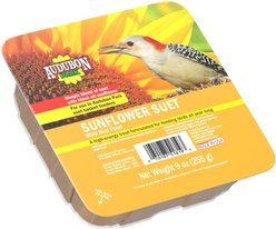 Audubon Park Sunflower Suet Cakes Wild Bird Food, 9-oz box, 12 count
