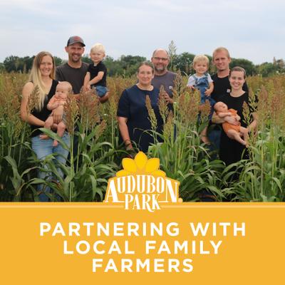 Show full view: Audubon Park Sunflower Suet Cakes Wild Bird Food, 9-oz box, 12 count slide 8 of 8