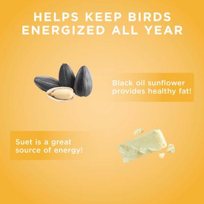 Show full view: Audubon Park Sunflower Suet Cakes Wild Bird Food, 9-oz box, 12 count slide 4 of 8