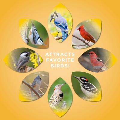 Show full view: Audubon Park Sunflower Suet Cakes Wild Bird Food, 9-oz box, 12 count slide 6 of 8