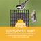 Show in main carousel: Audubon Park Sunflower Suet Cakes Wild Bird Food, 9-oz box, 12 count slide 5 of 8