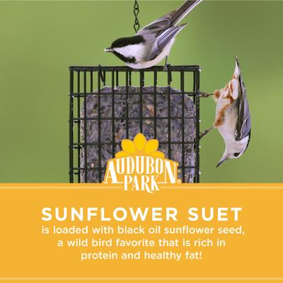 Show full view: Audubon Park Sunflower Suet Cakes Wild Bird Food, 9-oz box, 12 count slide 5 of 8