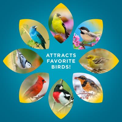 Show full view: Audubon Park Waste Free Wild Bird Food, 15-lb bag slide 6 of 11