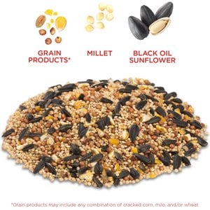 Audubon Park Classic Wild Bird Food, 10-lb bag