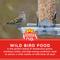 Show in main carousel: Audubon Park Wild Bird Food, 10-lb bag slide 4 of 10