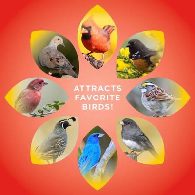 Show full view: Audubon Park Wild Bird Food, 20-lb bag slide 6 of 10