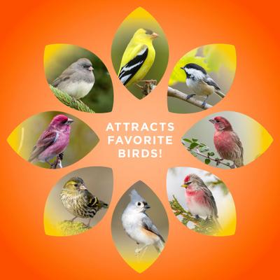 Show full view: Audubon Park Wild Finch Seed Blend Wild Bird Food, 5-lb bag slide 6 of 9