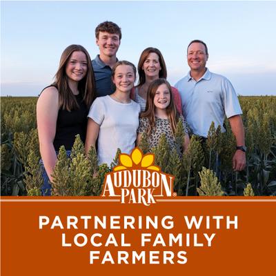 Show full view: Audubon Park Woodpecker Seed Cake Wild Bird Food, 24-oz box, 6 count slide 9 of 9