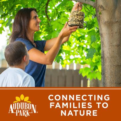 Show full view: Audubon Park Woodpecker Seed Cake Wild Bird Food, 24-oz box, 6 count slide 8 of 9