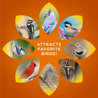 Show full view: Audubon Park Woodpecker Seed Cake Wild Bird Food, 24-oz box, 6 count slide 6 of 9