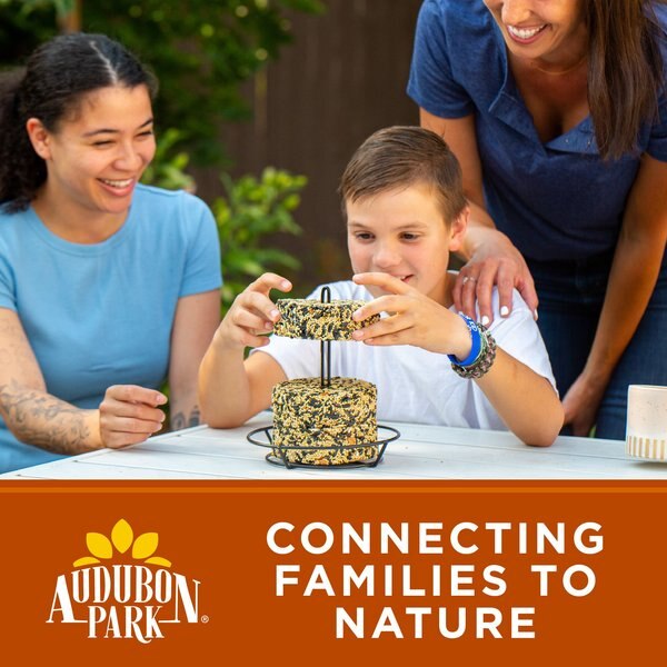 Audubon Park Woodpecker Snack Stack Seed Wild Bird Food, 8-oz box, 6 count