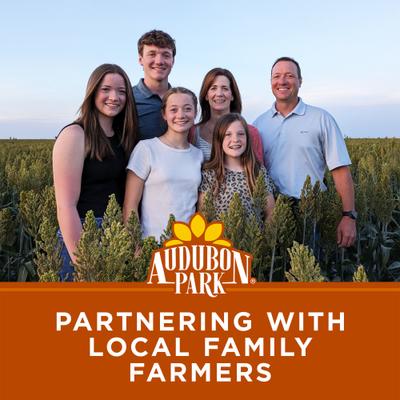 Show full view: Audubon Park Woodpecker Snack Stack Seed Wild Bird Food, 8-oz box, 6 count slide 8 of 9